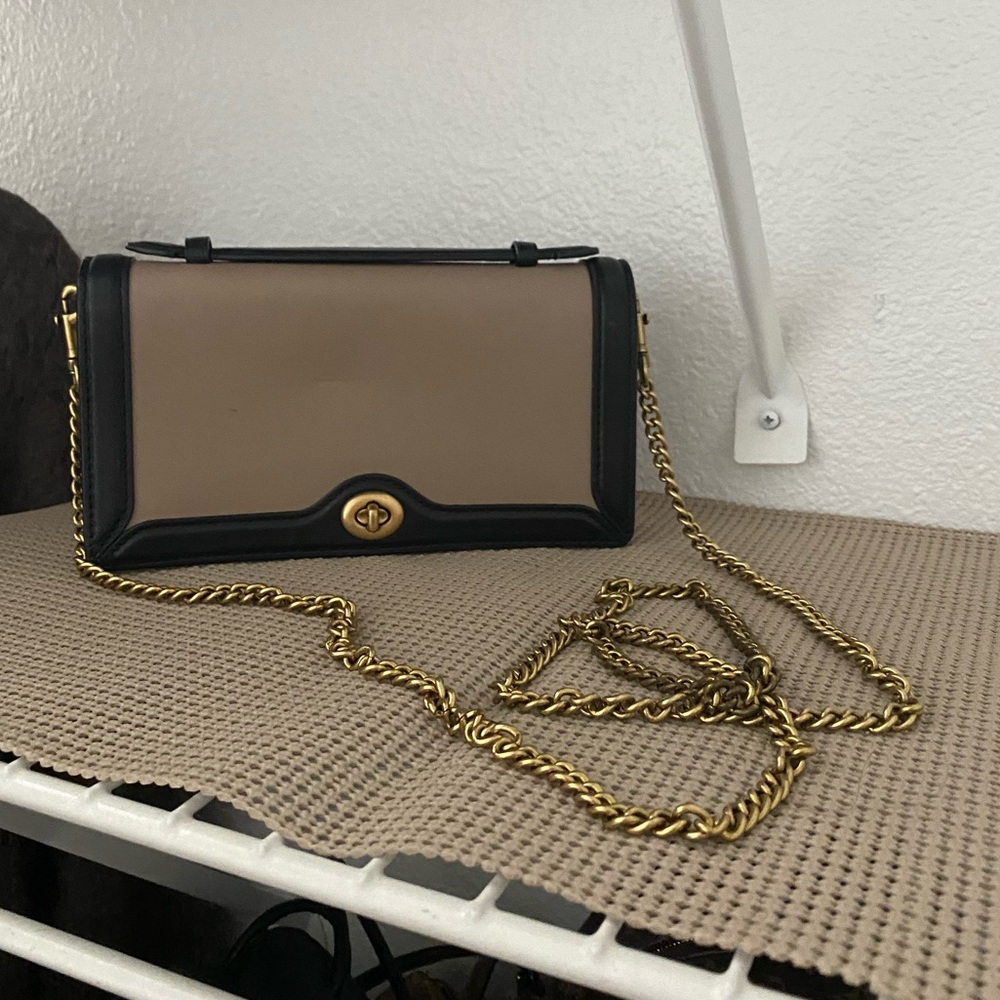 COPY - Coach Riley Chain Clutch in Color Block